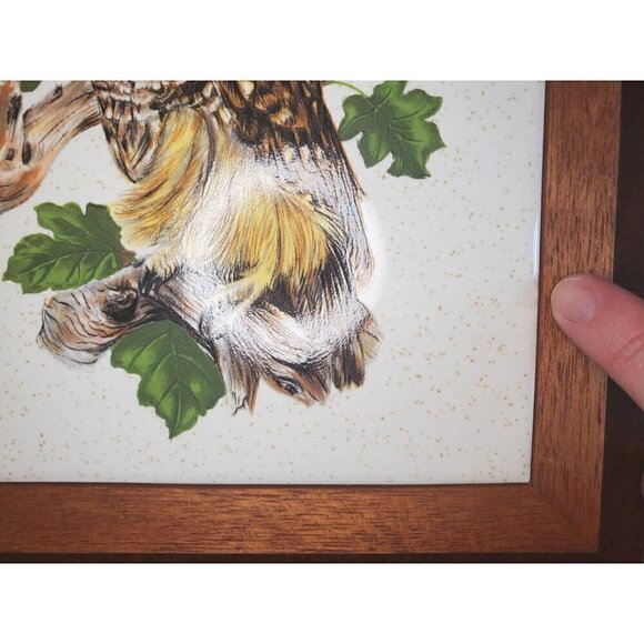 Barred Owl Tile Trivet Framed Decor Wall Hanging USA (2) EUC - Picture 7 of 7